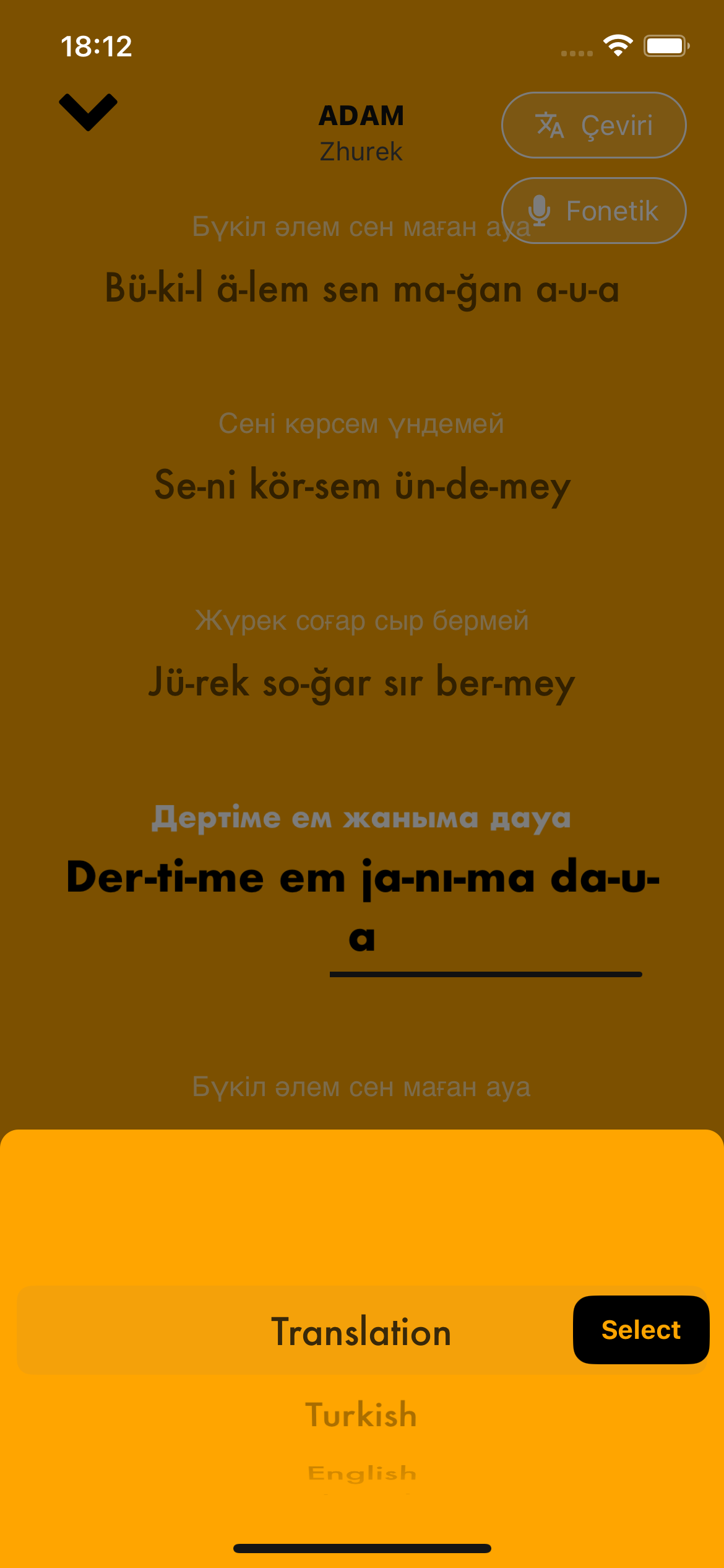 Smart Translation Interface - Turkish to English